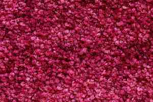 Ковролин AW Masquerade Palio 11 фото  | FLOORDEALER